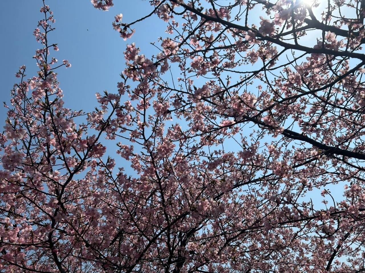 【名古屋】タイミング