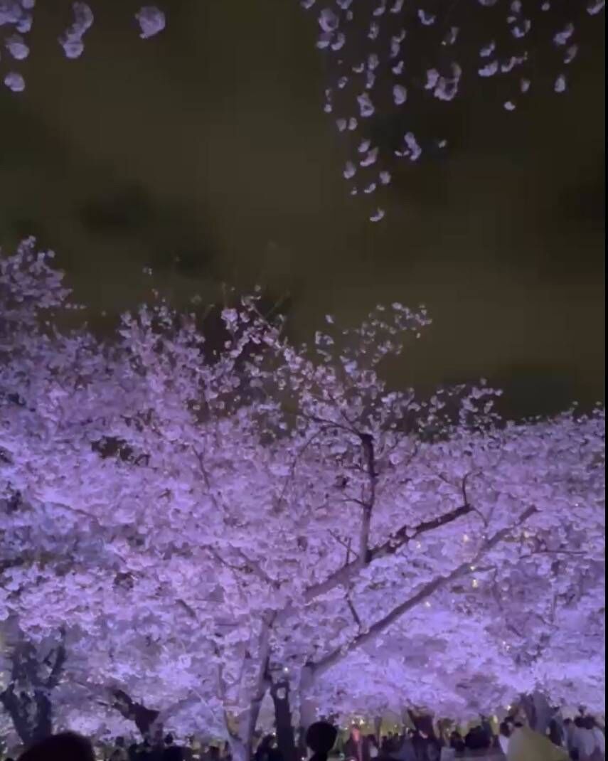 空を見上げたら